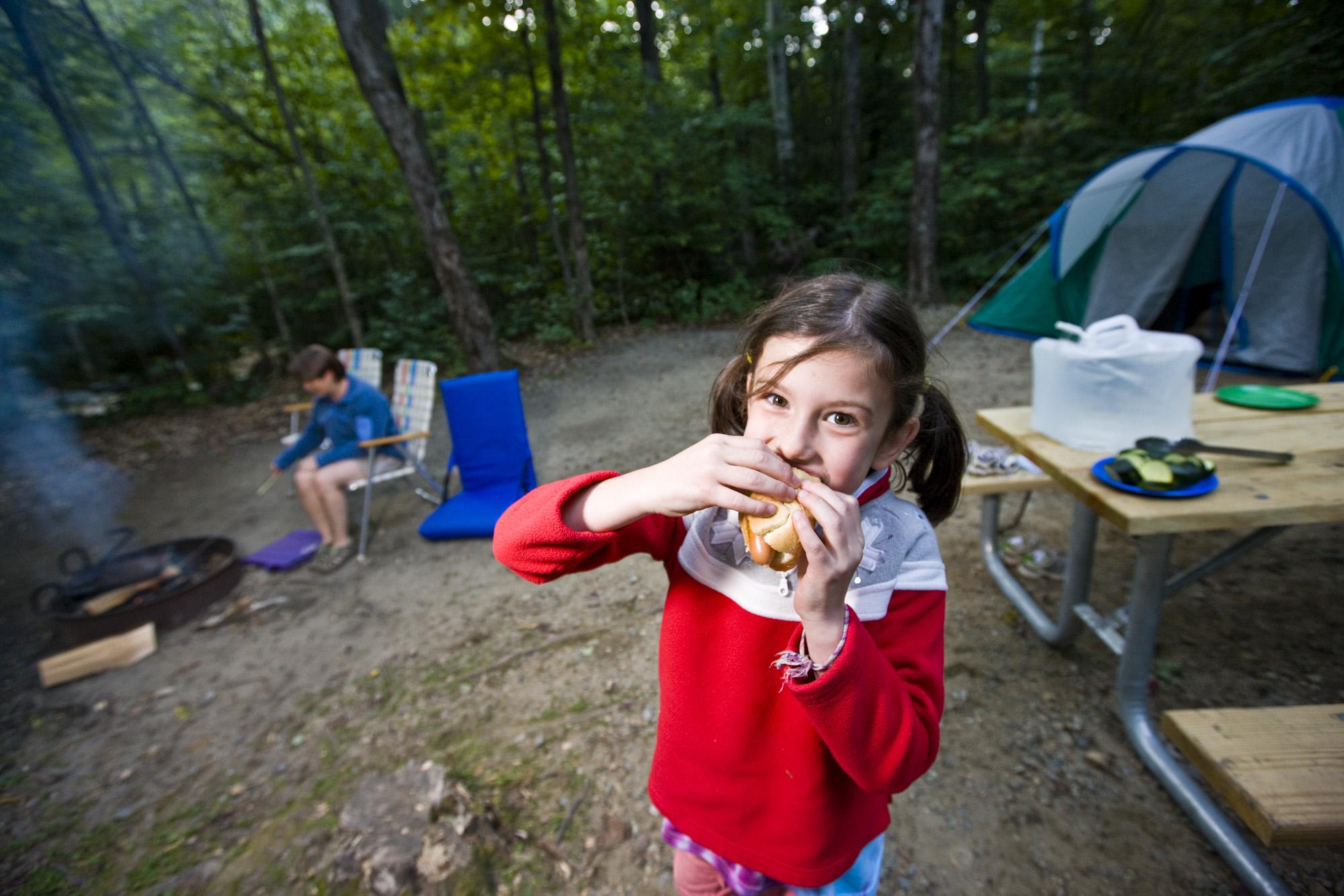 Campground Details Dry River Campground, NH New Hampshire Division